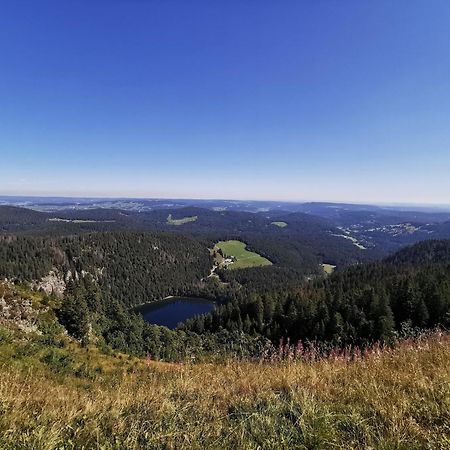 Fewo 1 - Residenz Schauinsland - Mit Sauna, E-Ladestation, Todtnauberg, Bei Feldberg Kültér fotó
