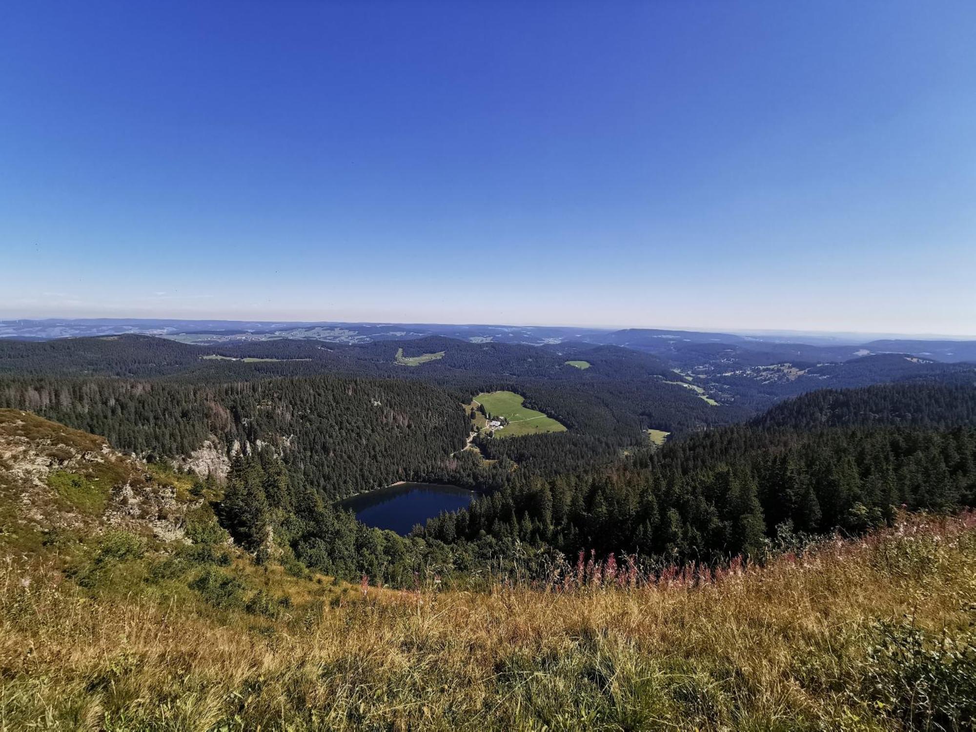 Fewo 1 - Residenz Schauinsland - Mit Sauna, E-Ladestation, Todtnauberg, Bei Feldberg Kültér fotó
