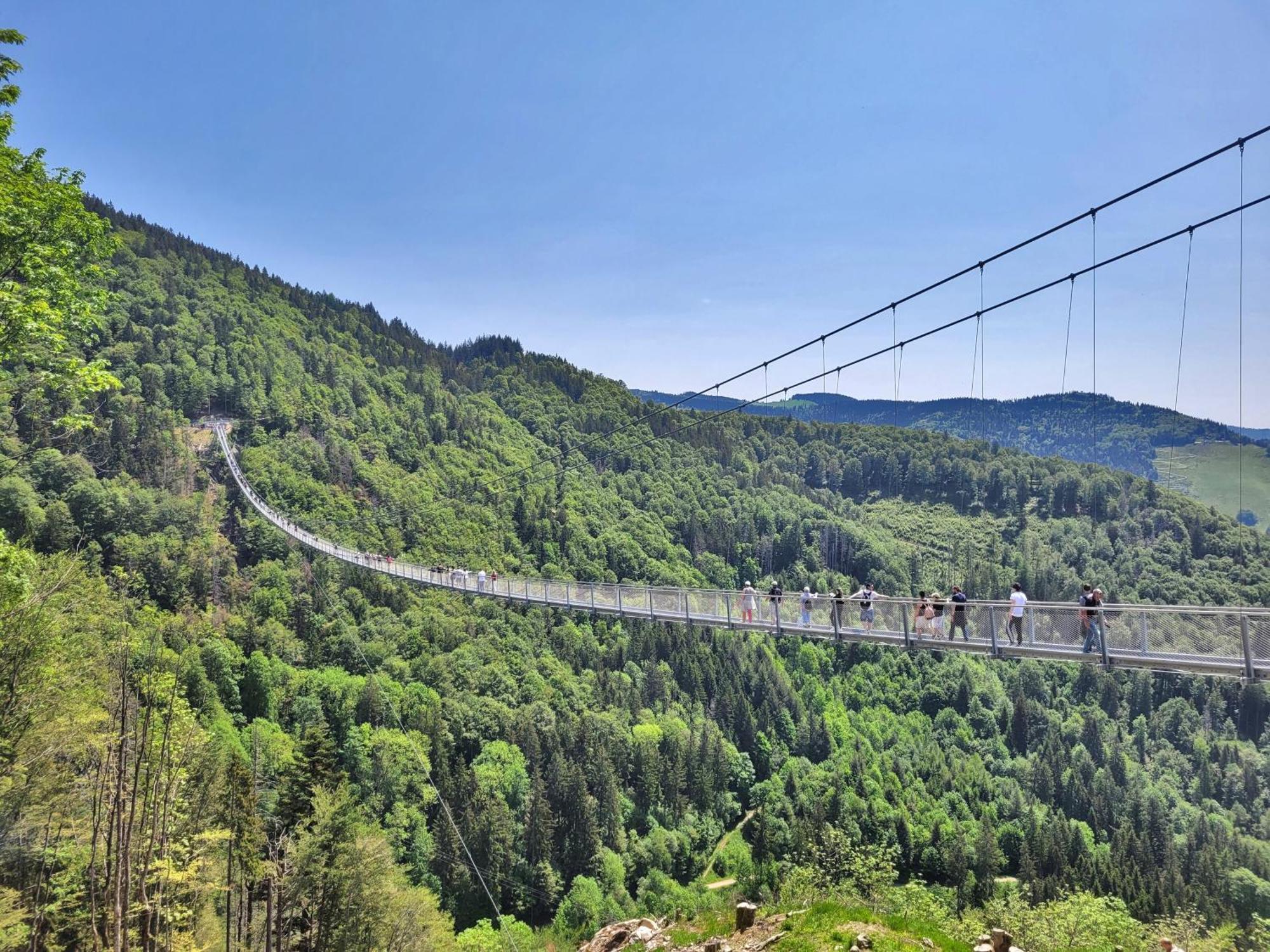 Fewo 1 - Residenz Schauinsland - Mit Sauna, E-Ladestation, Todtnauberg, Bei Feldberg Kültér fotó