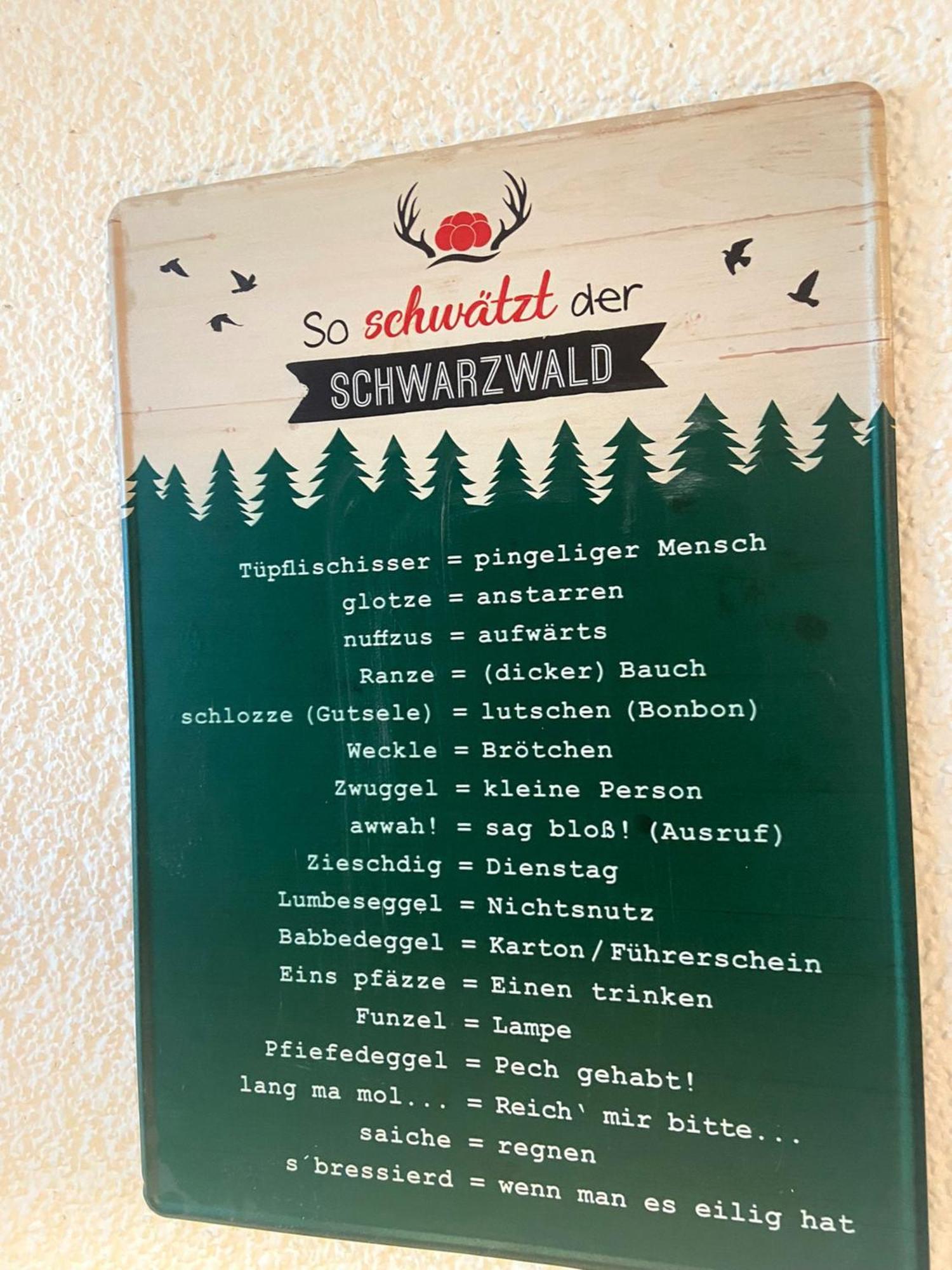 Fewo 1 - Residenz Schauinsland - Mit Sauna, E-Ladestation, Todtnauberg, Bei Feldberg Kültér fotó